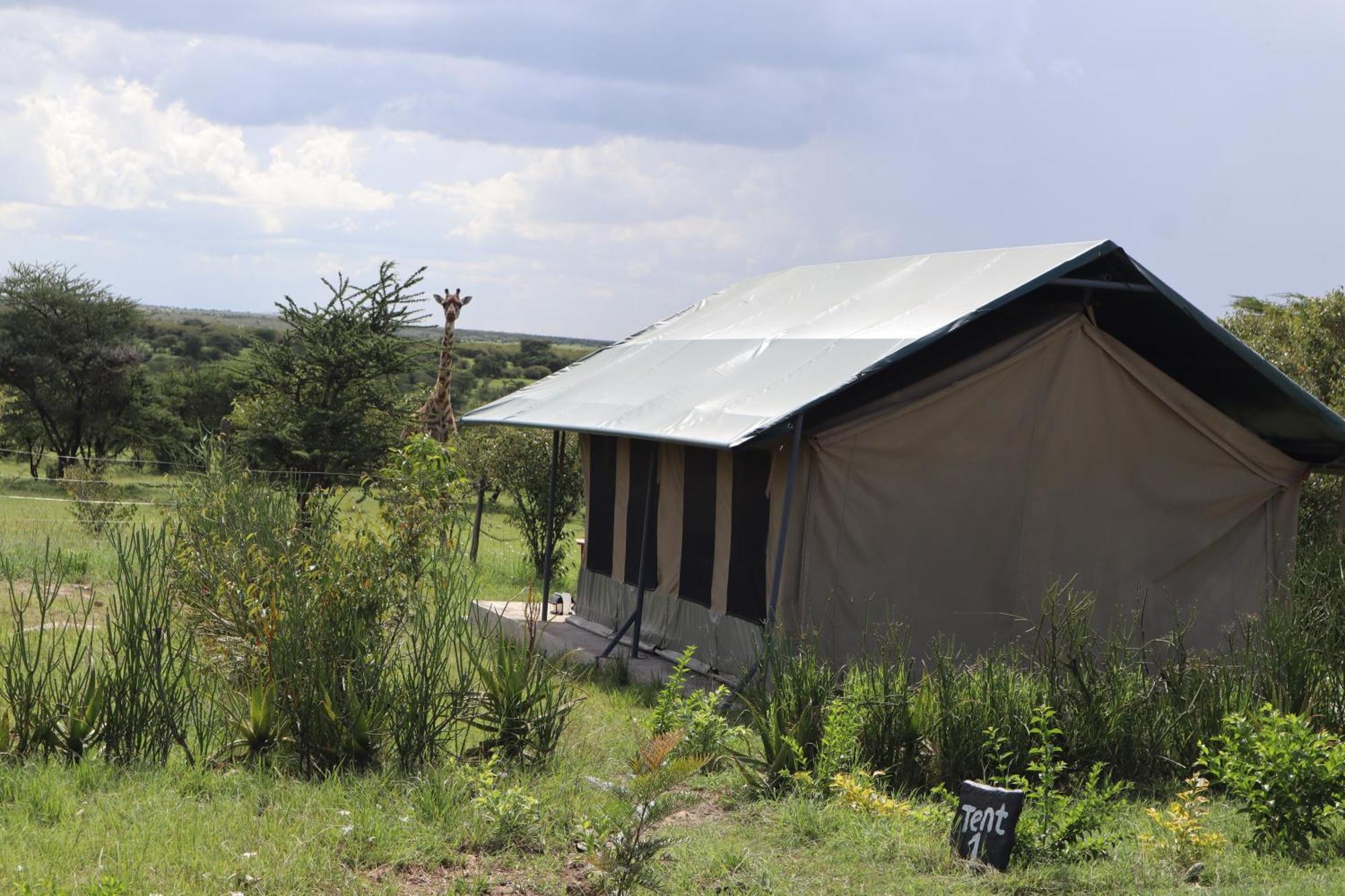 Hotel Kambu Mara Camp Sekenani Exterior foto